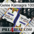 Gelée Kamagra 100 12